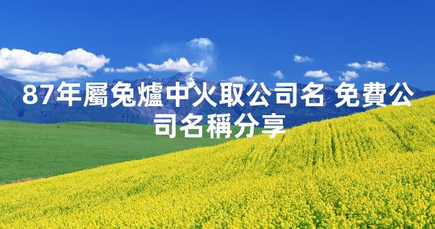 87年屬兔爐中火取公司名 免費公司名稱分享